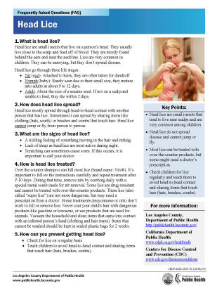 Head Lice Flyer