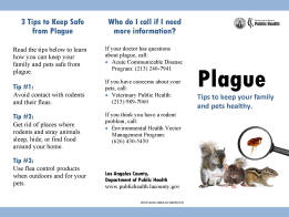 plague information