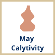 Clay pot