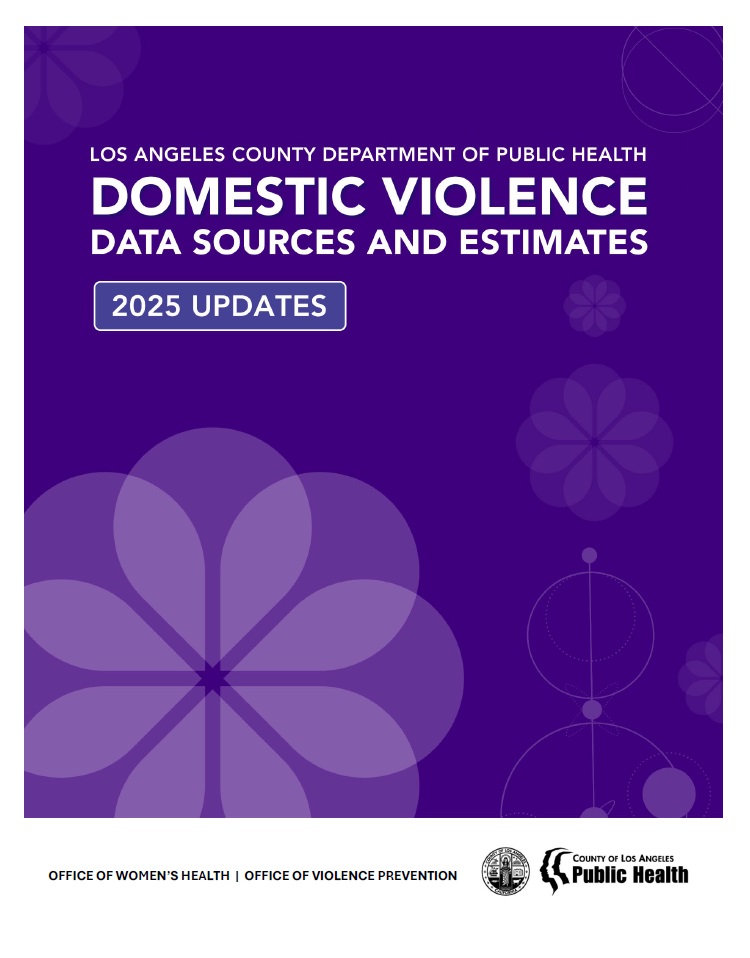 2025 DV Report