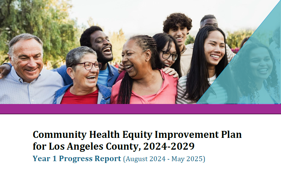 CHEIP Year 1 Progress Report