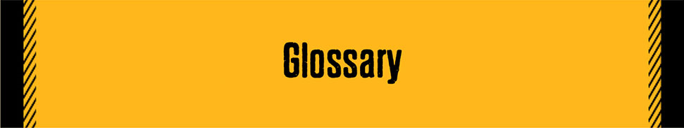 Glossary