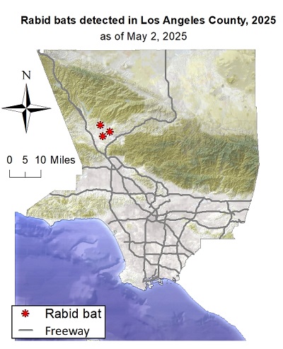 Map showing rabid bat detections in Los Angeles County since January 1, 2025