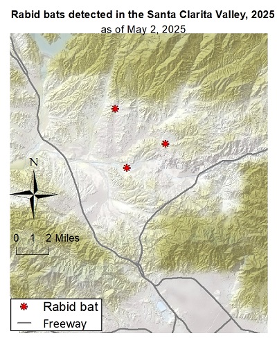 Map showing rabid bat detections in the Santa Clarita area of Los Angeles County since January 1, 2025