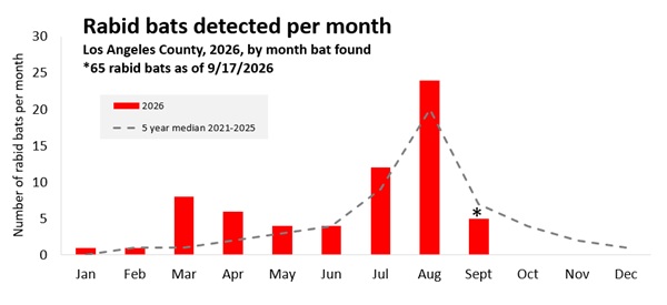 2025 graph - number of rabid bats per month in Los Angeles County