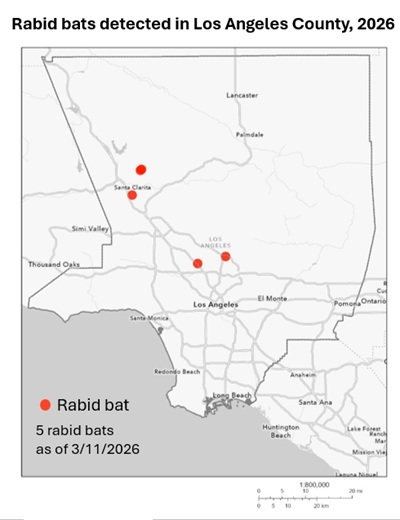 Map showing rabid bat detections in Los Angeles County since January 1, 2025