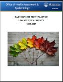 Patterns of Mortality in Los Angeles County, 
2008-2017